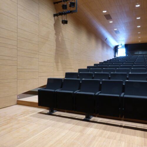 Bamboo flooring in Auditorium Treviglio