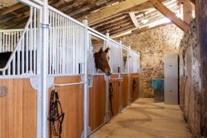 Bamboo E-quine stable planks
